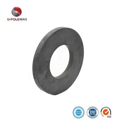 Campione Y35 Magnete per anello di ferrite permanente magnetizzato diametralmente per altoparlante