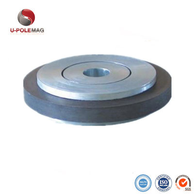Campione Y35 Magnete per anello di ferrite permanente magnetizzato diametralmente per altoparlante