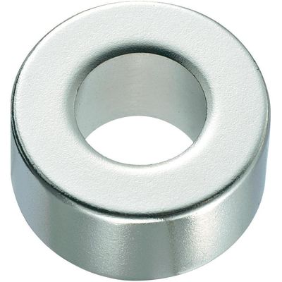 Campione anello di magnetizzazione radiale grande Magnete al neodimio N35-N52 per magnete industriale