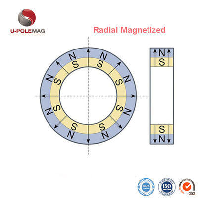Magnete ad anello grande magnetizzato radialmente a neodimio rivestito d'oro per applicazioni industriali