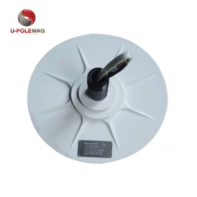 Magnete di terre rare per generatore di vento del rotore interno AFPMG520-1.0KW/90RPM