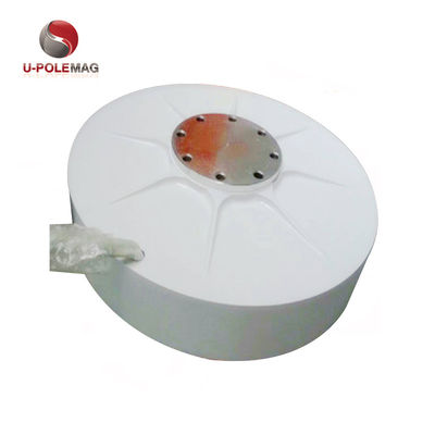 Magnete di terre rare per generatore di vento del rotore interno AFPMG520-1.0KW/90RPM