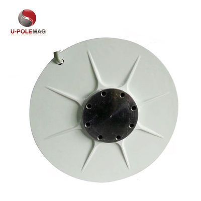 Magnete di terre rare per generatore di vento del rotore interno AFPMG520-1.0KW/90RPM