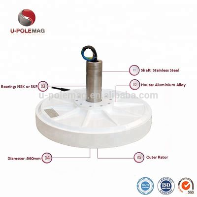 Generatore di filo di rame a magnete NdFeB di 30 kW per la produzione di turbine eoliche