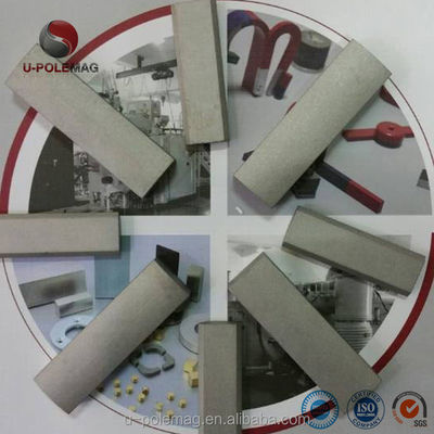 Magnete Smco permanente per motori industriali del segmento delle terre rare