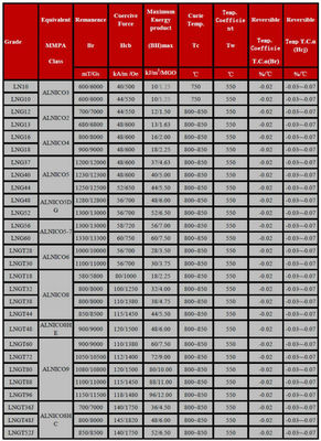 ISO14004 2004 Magnetismo permanente certificato Magneti a 5 barre AlNiCo con direzione assiale