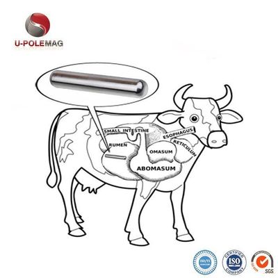 Aumentare la produzione di bestiame con 72,5 g di AlNiCo 5 Composto Magnetic Cow Pill
