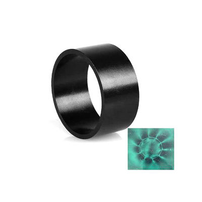 Magnete al neodimio ad anello multipolari di grande resistenza con rotore motore di rivestimento in resina epossidica