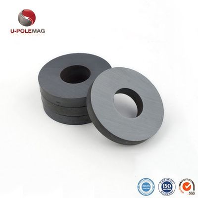 Anello magnetizzato diametralmente per altoparlante professionale