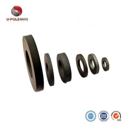 Anello magnetizzato diametralmente per altoparlante professionale