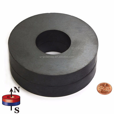 Anello magnetizzato diametralmente per altoparlante professionale