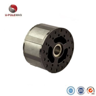 Anello magnetizzato diametralmente per altoparlante professionale