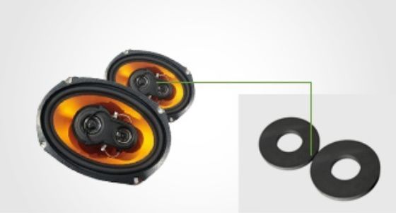 Anello magnetizzato diametralmente per altoparlante professionale
